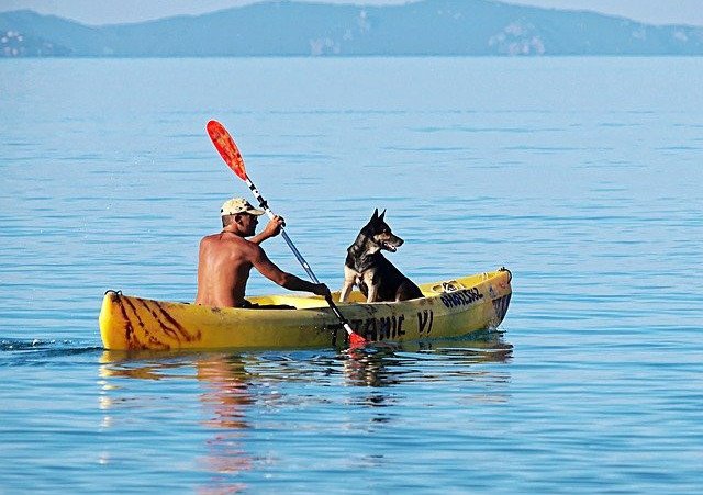 Taking Your Dog Kayaking Tips For Safe Fun - Florida Splendors