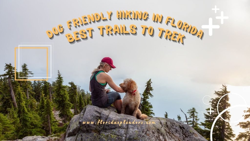 Dog Friendly Hiking in Florida - Best Trails to Trek