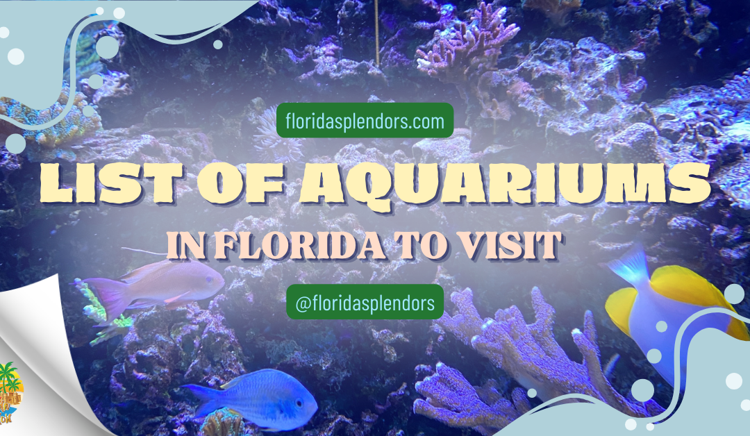 List Of Aquariums