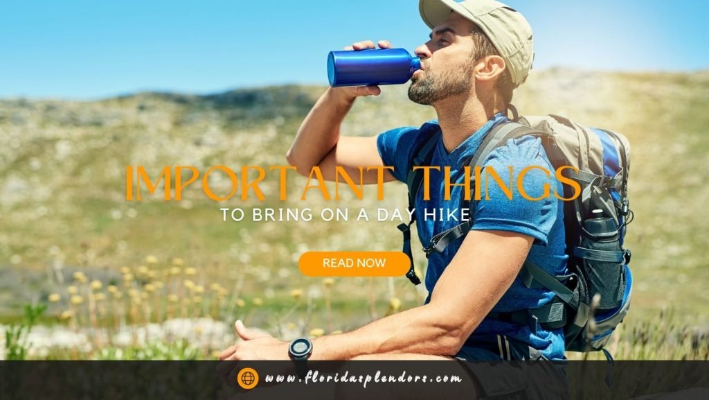 Important Things to Bring on a Day Hike