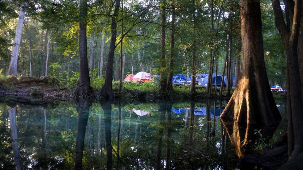 Kissimmee Prairie Preserve State Park For Camping Florida Splendors