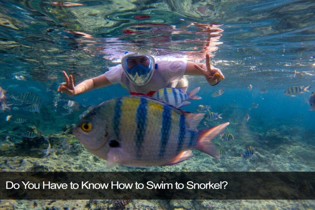 Do You Have to Know How to Swim to Snorkel?