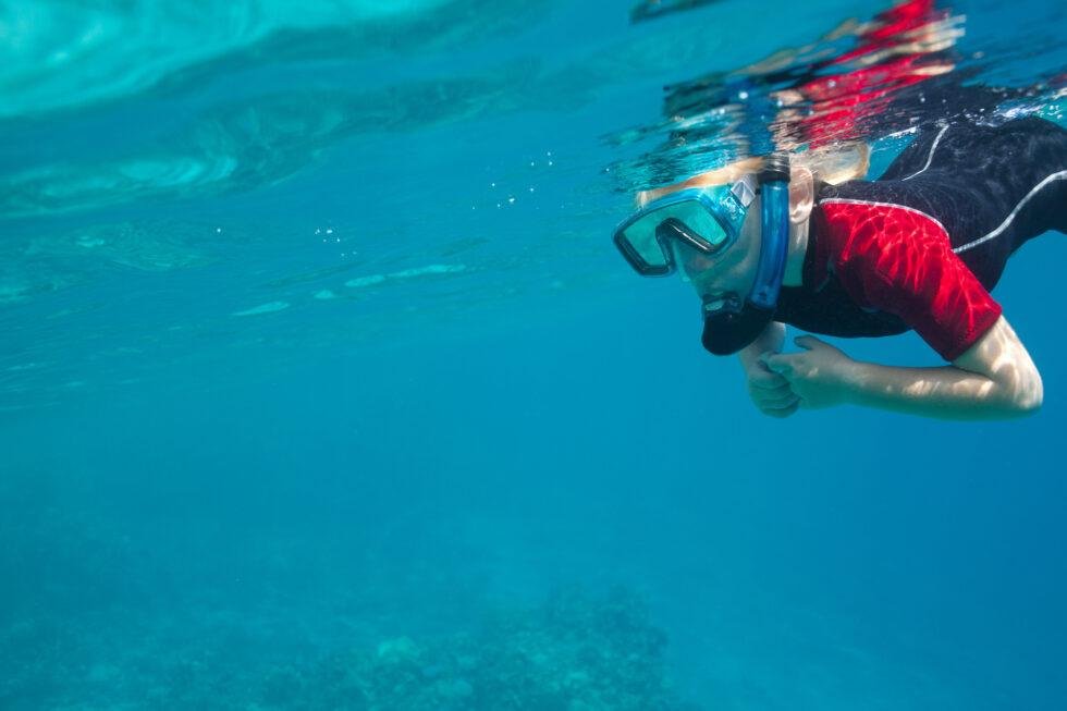 Do You Have to Know How to Swim to Snorkel? - Florida Splendors