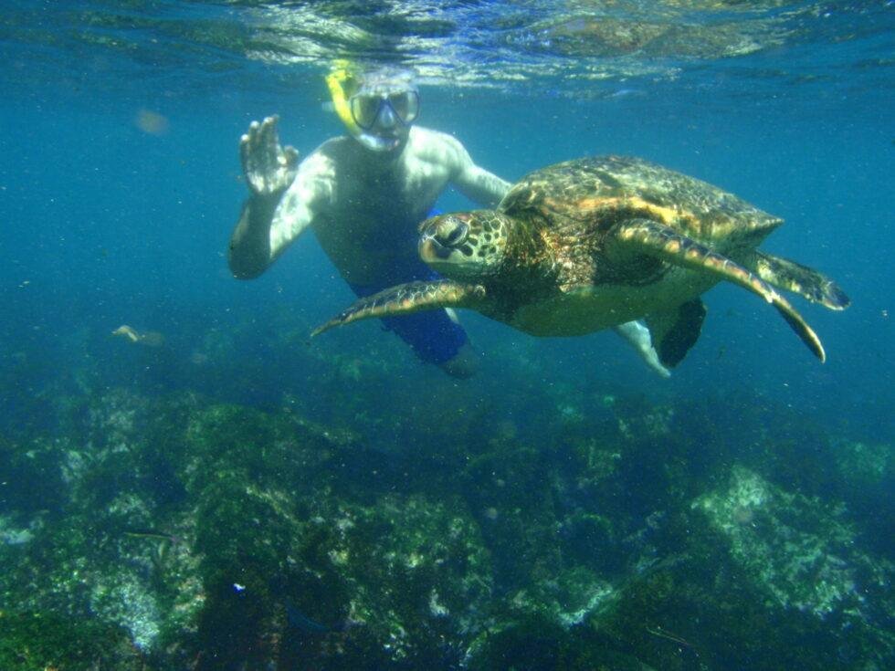 Best Snorkeling In Florida Florida Splendors