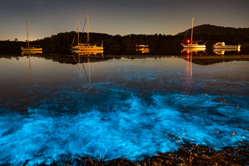 Bioluminescence glow in the bay nightscape with boats florida bioluminescence kayak tour
