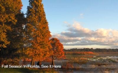 fall season in florida