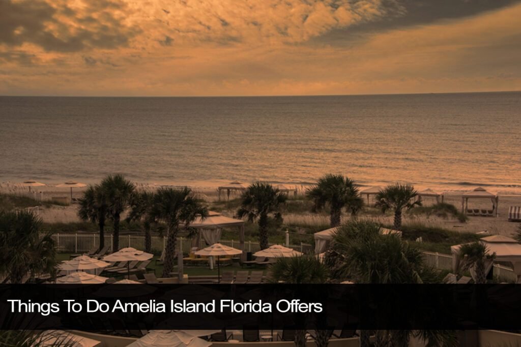 things to do amelia island florida