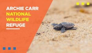 Archie Carr National Wildlife Refuge