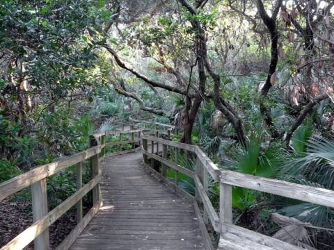 Archie Carr National Wildlife Refuge - Florida Splendors