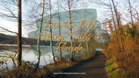 Favorite Fall Hiking Trails in Florida