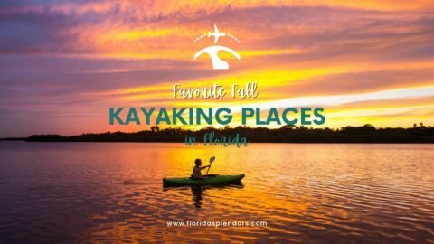 Favorite Fall Kayaking Places in Florida