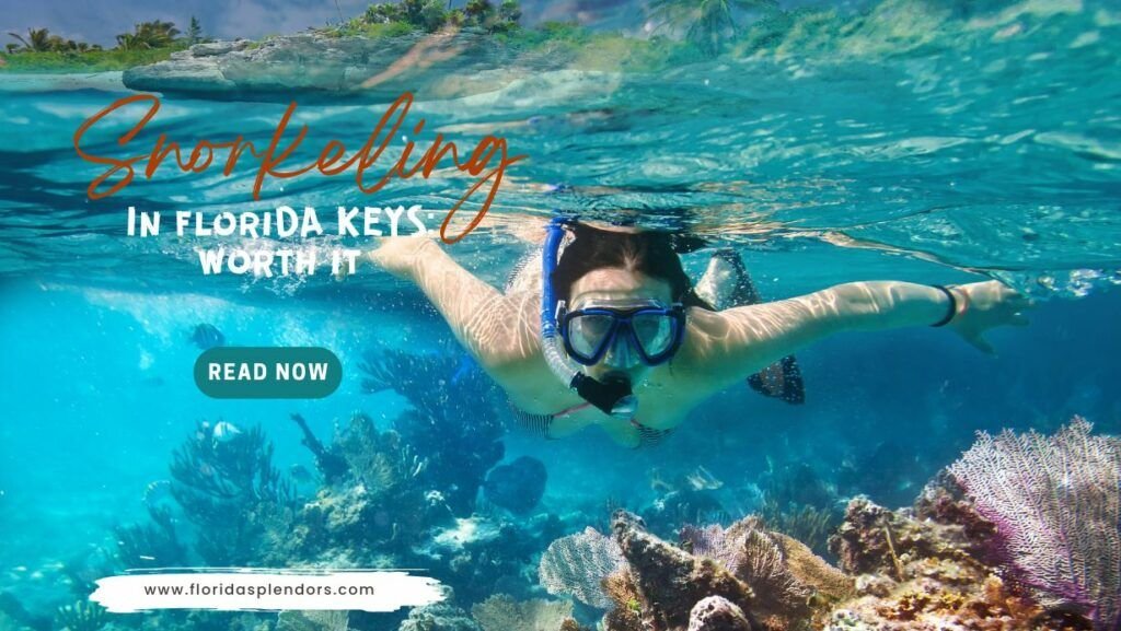 Snorkeling In Florida Keys Worth It