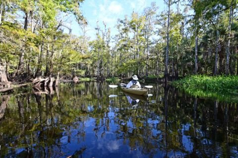 Favorite Fall Kayaking Places in Florida - Florida Splendors