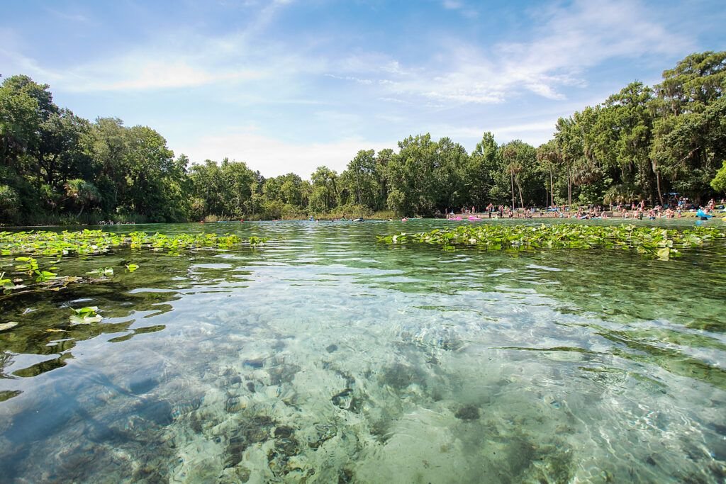 Hidden Springs in Florida