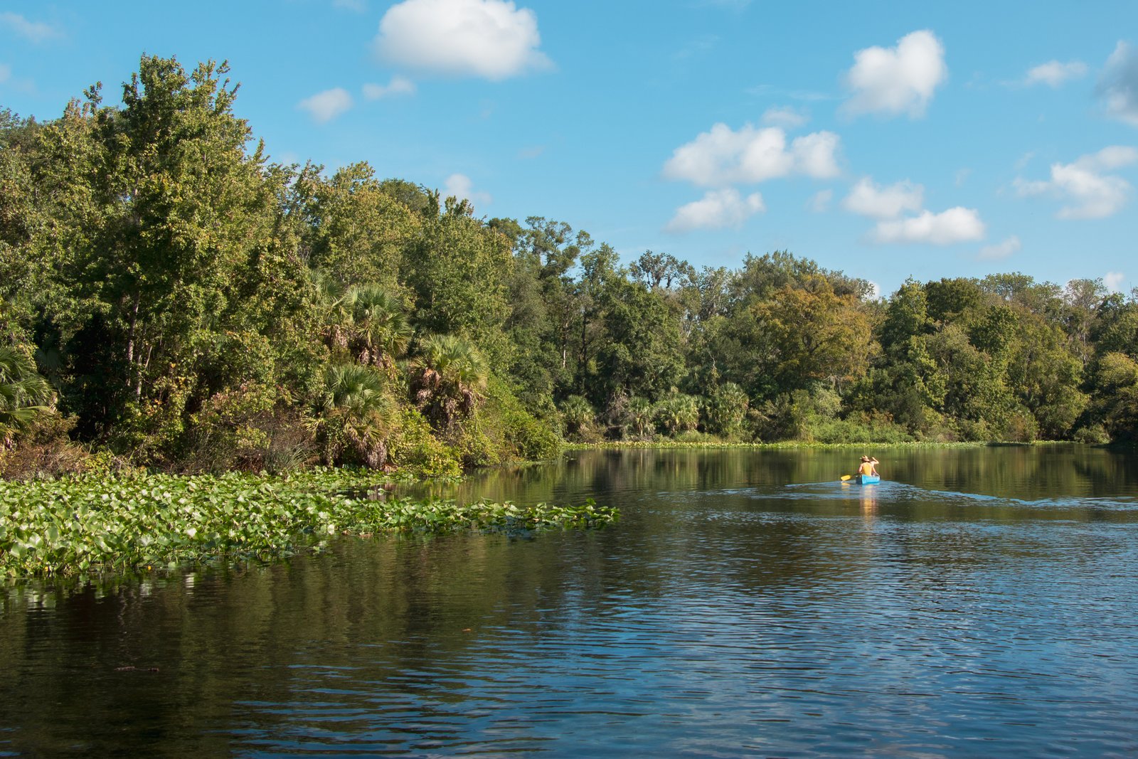 Wekiwa springs