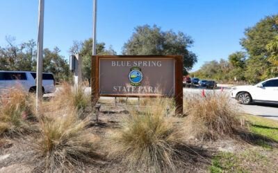Blue Spring State Park FL