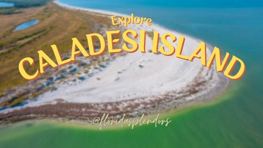 caladesi island state park