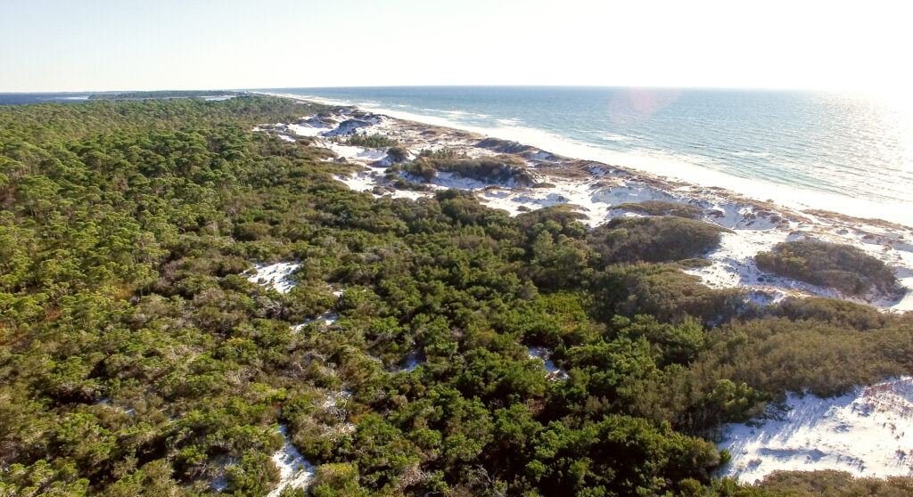 Cape San Blas Florida