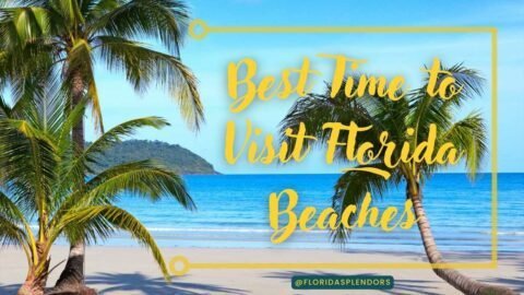 Title-Best Time to Visit Florida Beaches