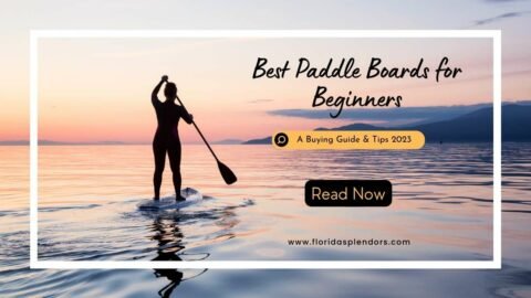 Title-Best Paddle Boards for Beginners