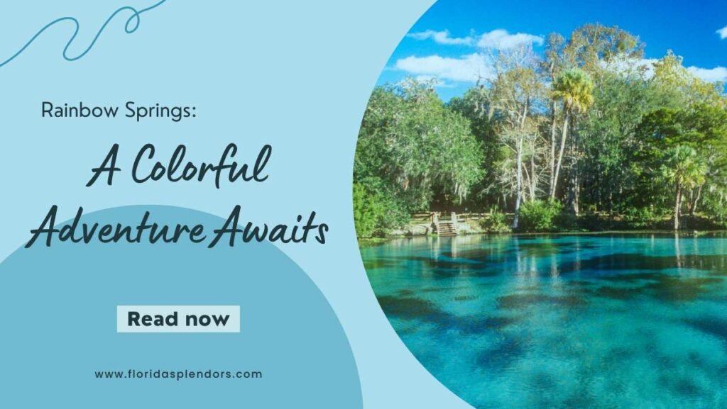 Title-Rainbow Springs A Colorful Adventure Awaits