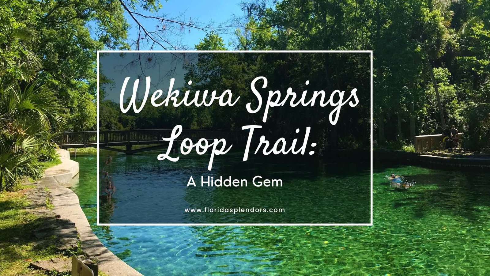 Wekiwa Springs Loop Trail: A Hidden Gem - Florida Splendors