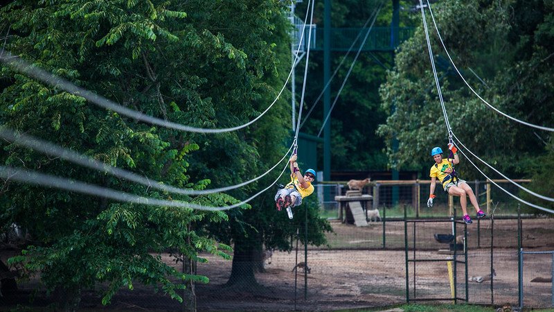 Zip Lines / Flickr / Shreveport-Bossier Convention and Tourist Bureau