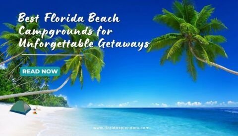 Florida Beach Campgrounds: The Best Ones - Florida Splendors