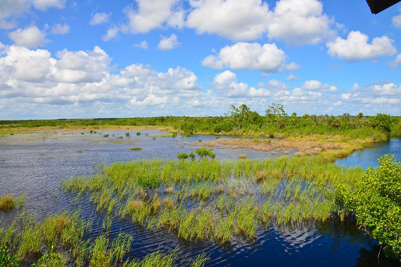 The Ten Thousand Islands National Wildlife Marsh Trail / Flickr / Denise Wauters