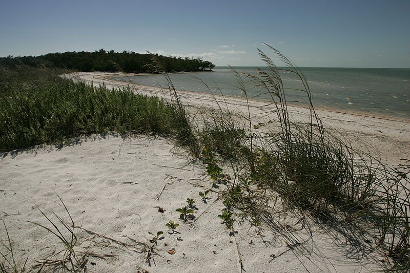 Beach Shore / Flickr / Eutrophication&hypoxia