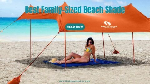 Best Family-Sized Beach Shade