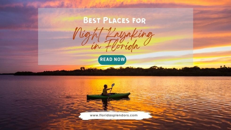 Best Places for Night Kayaking in Florida Florida Splendors