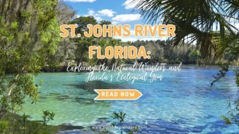 St. Johns River Florida Exploring the Natural Wonders and Florida's Ecological Gem