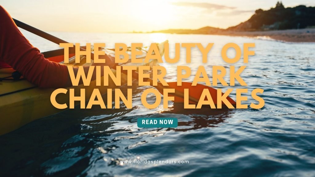 The Beauty of Winter Park Chain of Lakes