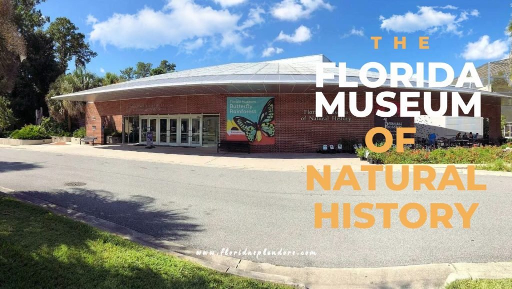 The Florida Museum of Natural History