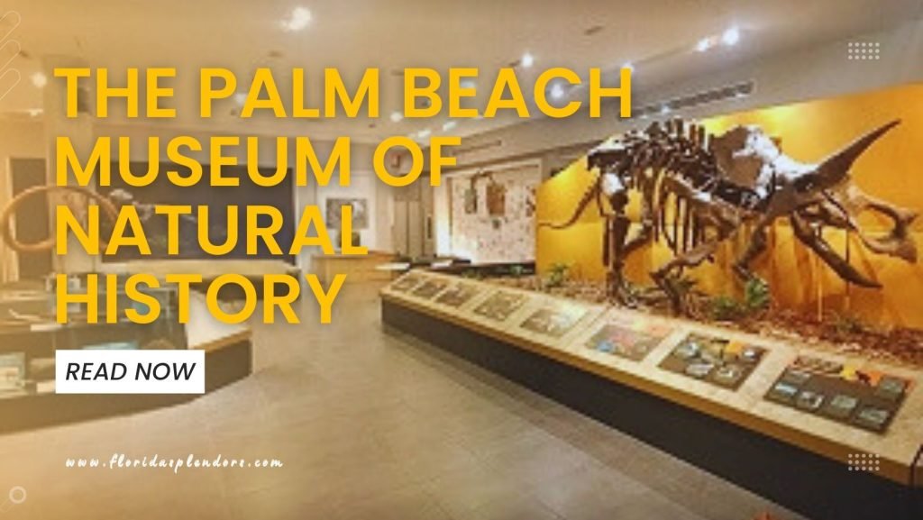 The Palm Beach Museum of Natural History