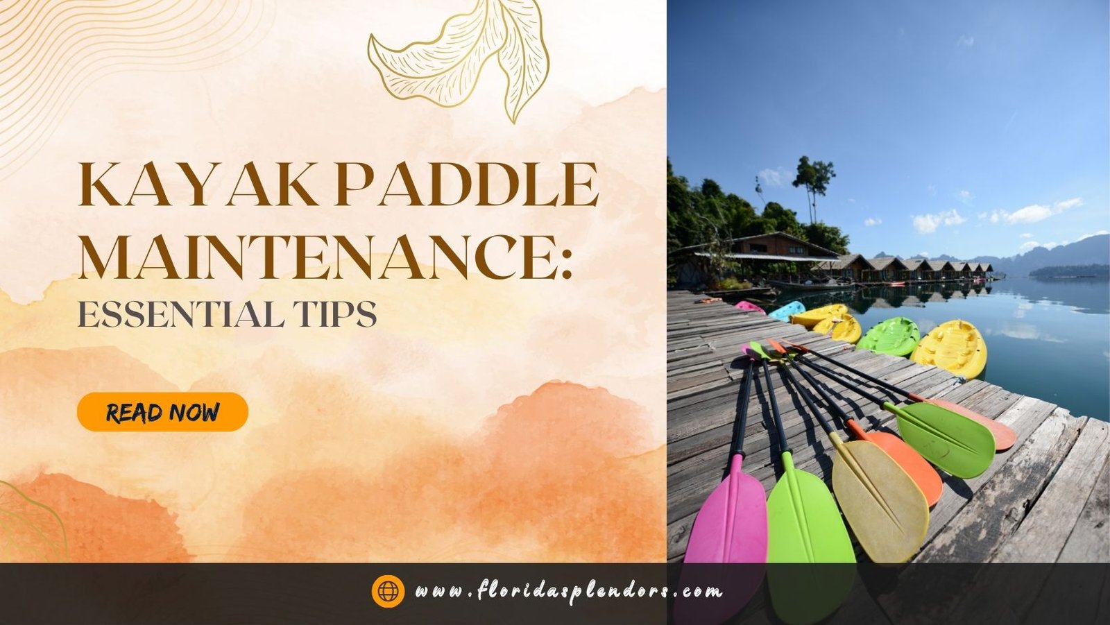 Kayak Paddle Maintenance Essential Tips Florida Splendors