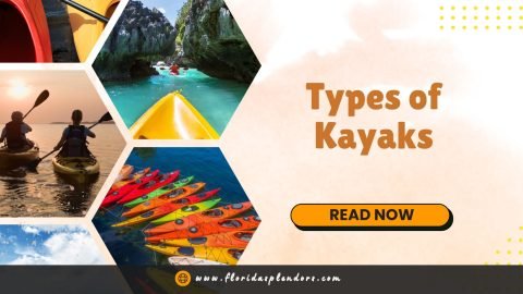 Types of Kayaks
