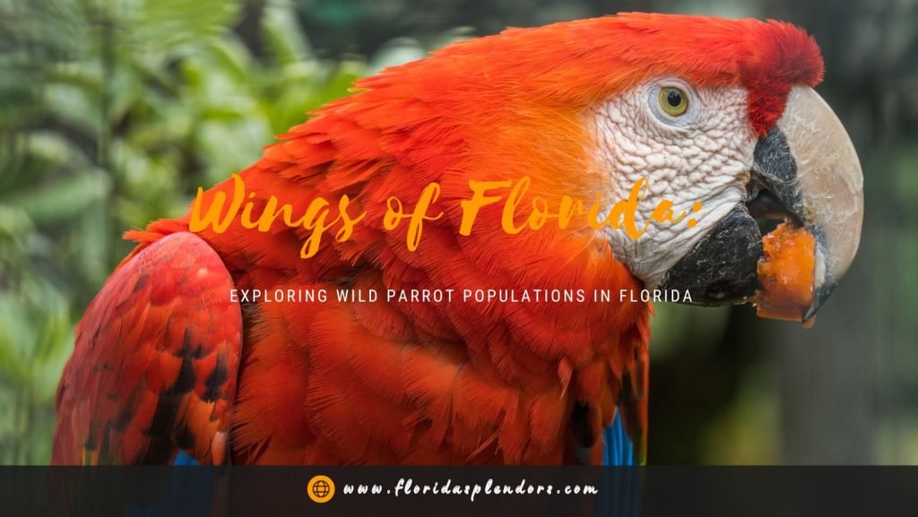 Wings of Florida Exploring Wild Parrot Populations in Florida