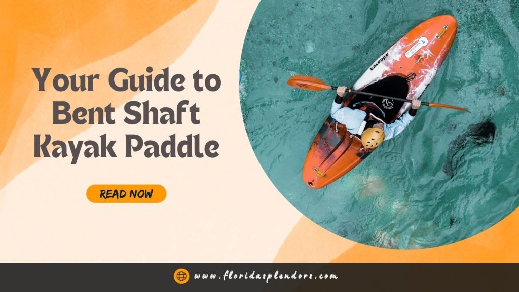 Your Guide to Bent Shaft Kayak Paddle