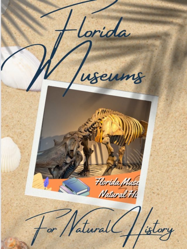 FLORIDA MUSEUMS FOR NATURAL HISTORY