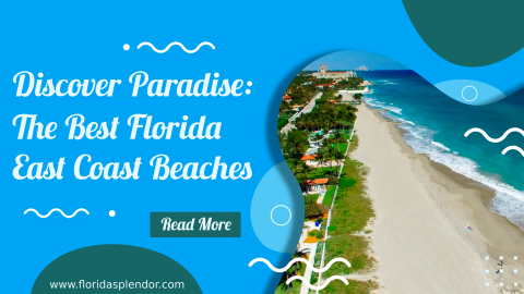 Discover Paradise: The Best Florida East Coast Beaches - Florida Splendors