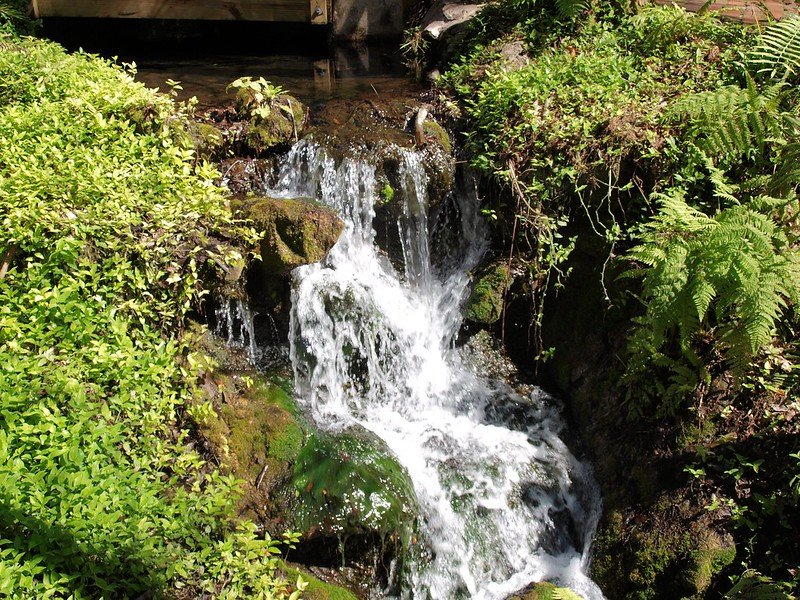 Rainbow Springs: A Colorful Adventure Awaits - Florida Splendors