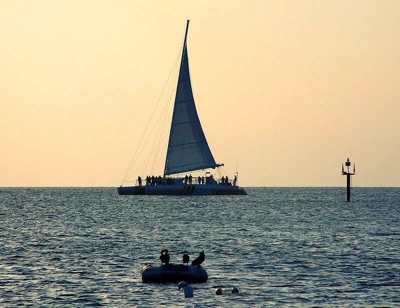 Sailing Tour / Flickr / Don Sampson