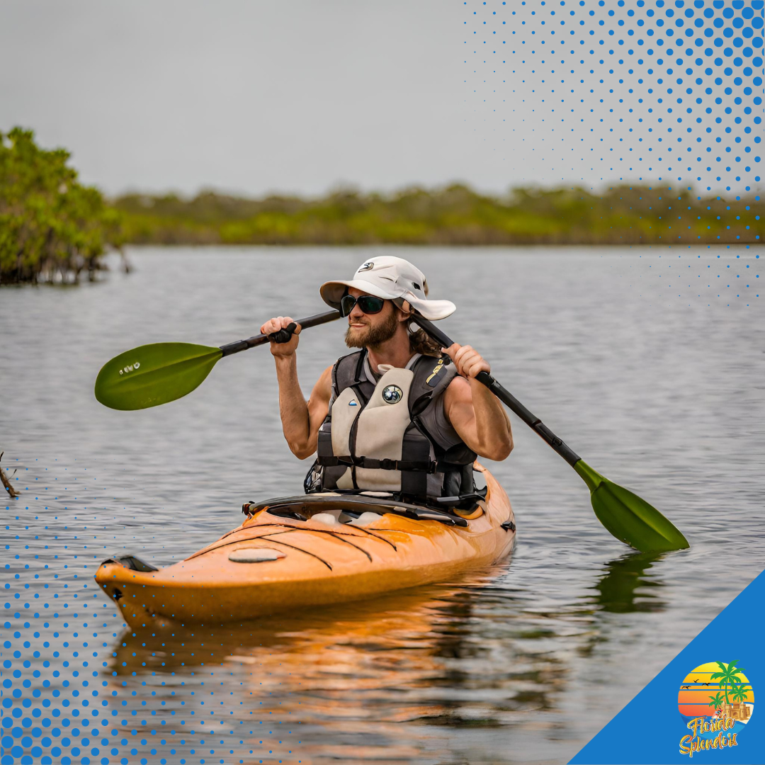 Kayak Mangroves Florida Keys Uncover The Hidden Gem A Serene Paddling Guide Florida Splendors 1717