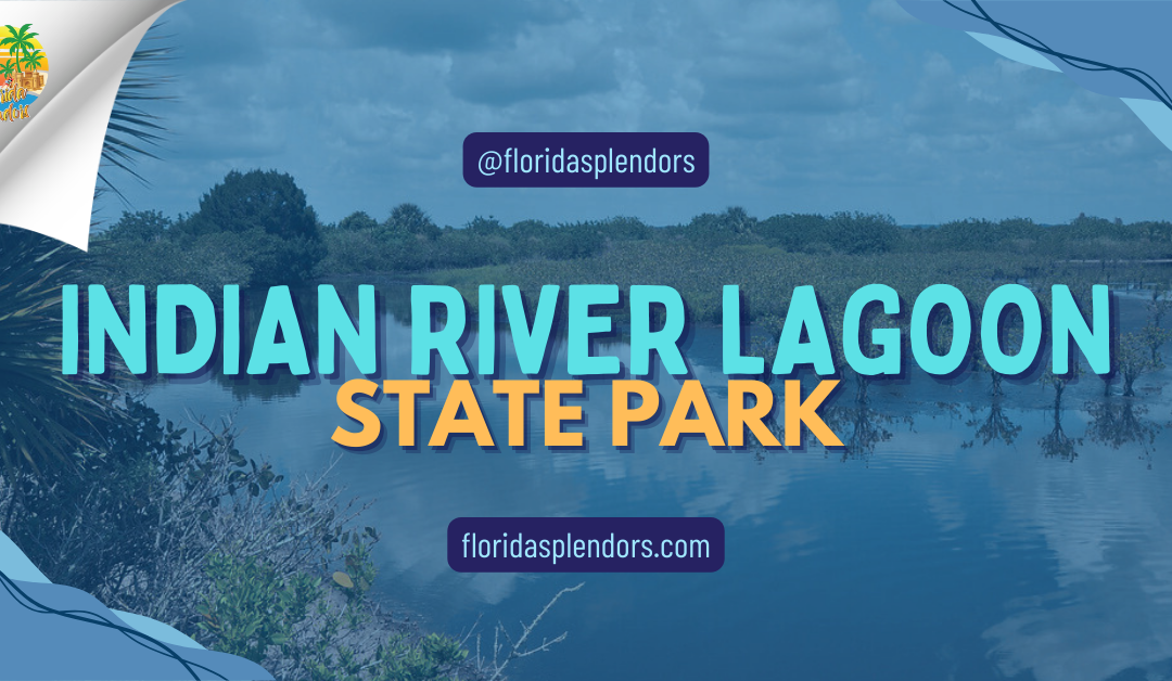 Indian River Lagoon State Park