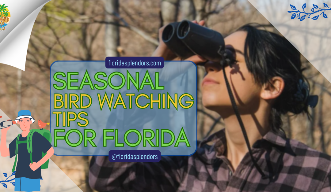Seasonal Bird Watching Tips for Florida